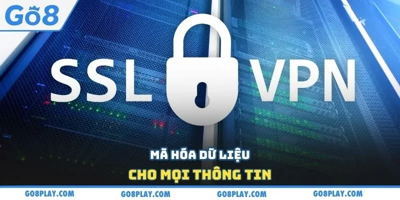 Mã hóa dữ liệu cho mọi thông tin