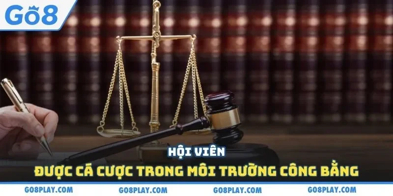 Hội viên được cá cược trong môi trường công bằng