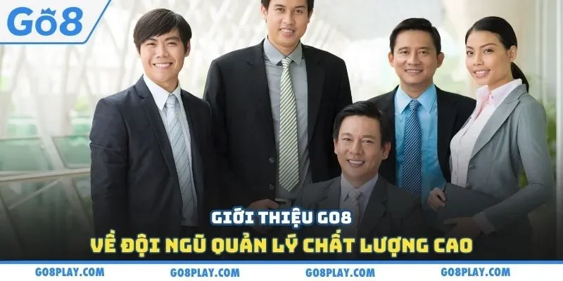 Giới thiệu Go8 về đội ngũ quản lý chất lượng cao