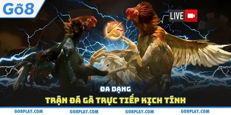 Đa dạng trận đá gà trực tiếp kịch tính