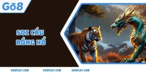 Soi Cầu Rồng Hổ Go8 - Bí Quyết Hiệu Quả Dễ Thắng