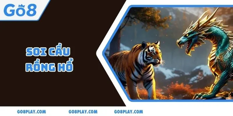 Soi Cầu Rồng Hổ Go8 - Bí Quyết Hiệu Quả Dễ Thắng