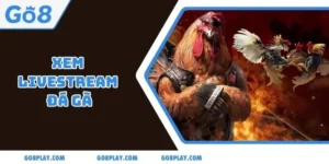 Xem Livestream Đá Gà Miễn Phí, Rinh Thưởng Thật