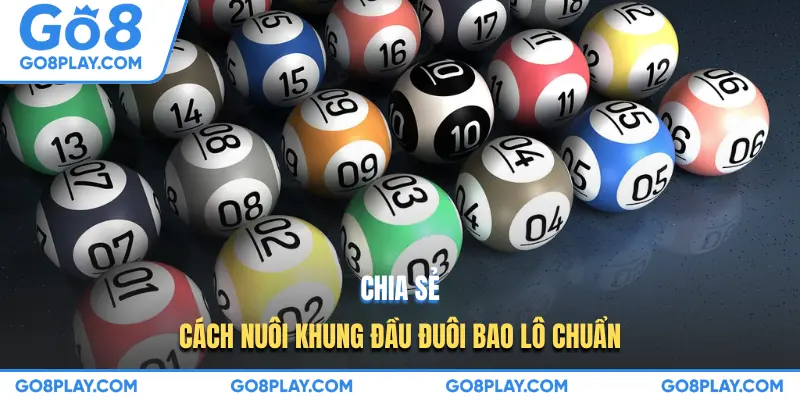 Chia sẻ cách nuôi khung đầu đuôi bao lô chuẩn