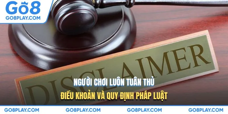 Người chơi luôn tuân thủ điều khoản và quy định pháp luật