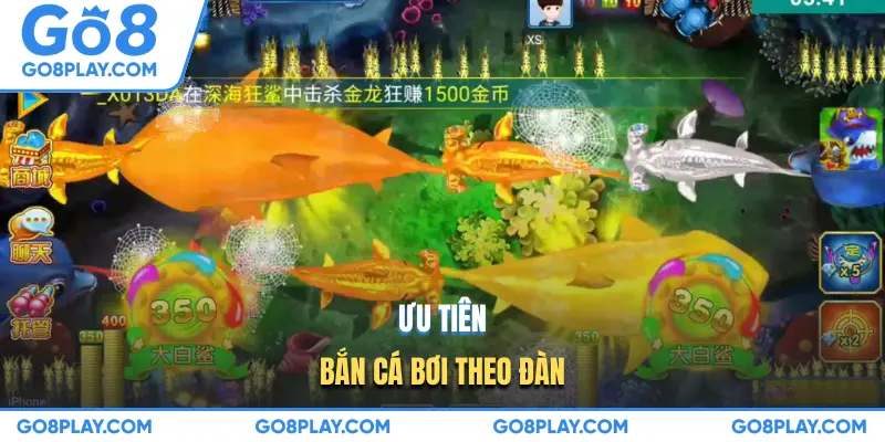 Ưu tiên bắn cá bơi theo đàn